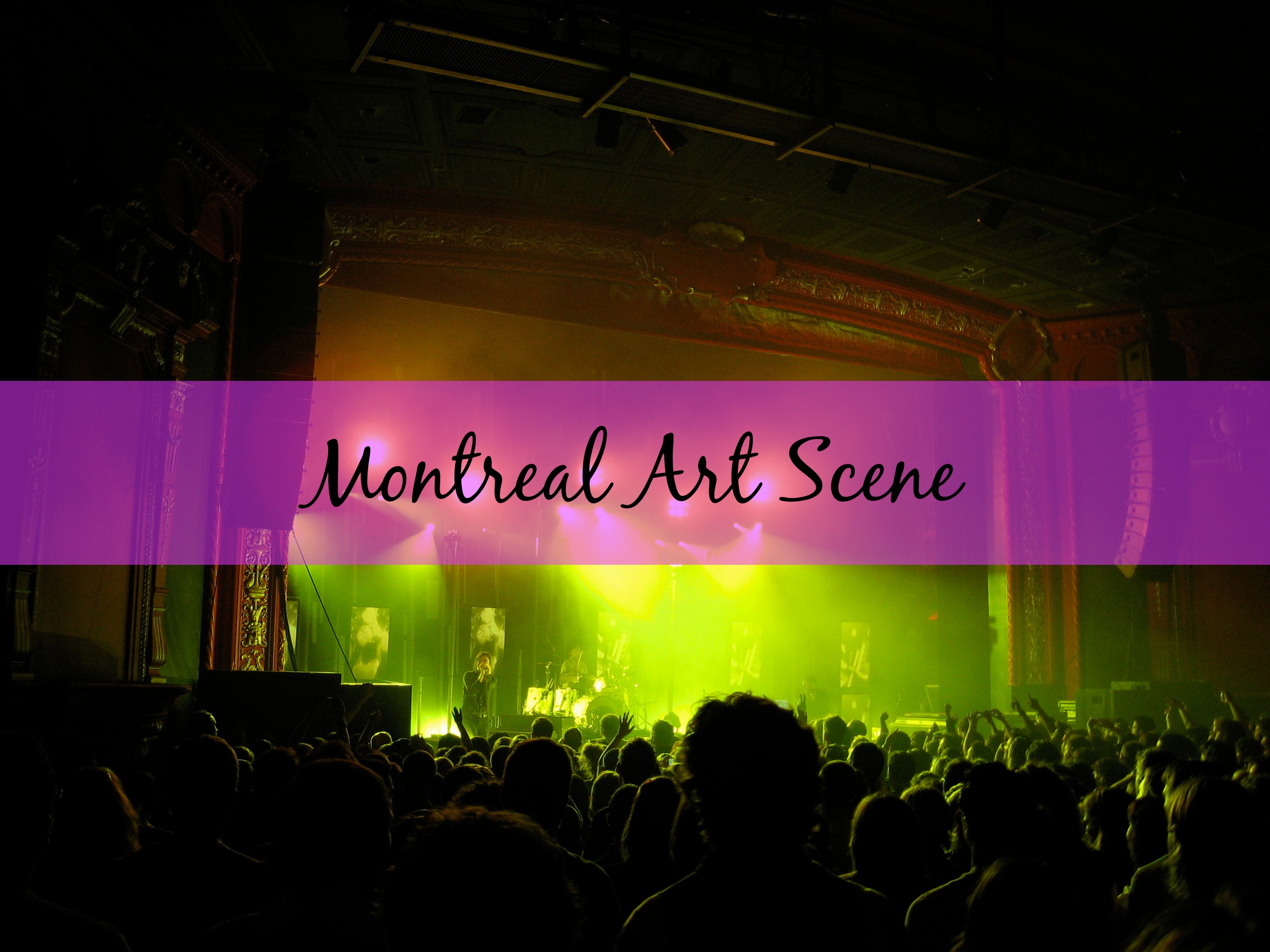 Montreal Art Scene Adventitious Violet